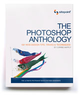 The Web Design Business Kit